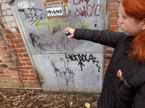 Профилактическая акция "Здоровая среда"