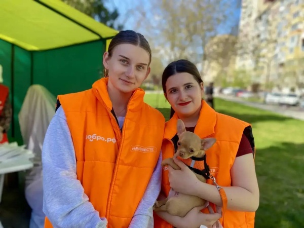 Помощь волонтеров муниципального штаба #МЫВМЕСТЕ в помощи пункту сдачи крови